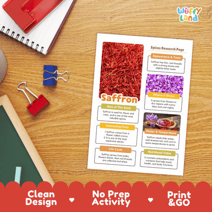 Saffron Spices Research Page Worksheets and Fact Sheet