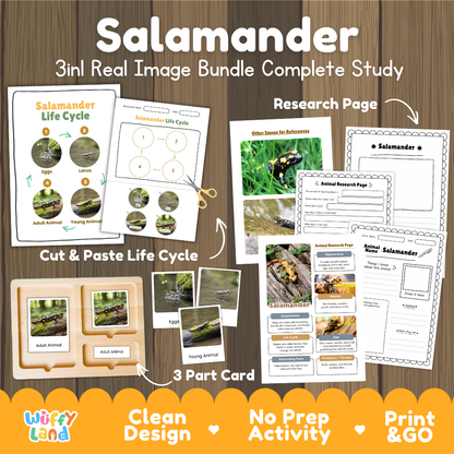 Salamander 3-in-1 real image bundle complete study cover showing cut and paste life cycle, 3 part cards, and research pages