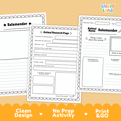 Salamander Animal Research Page Worksheets