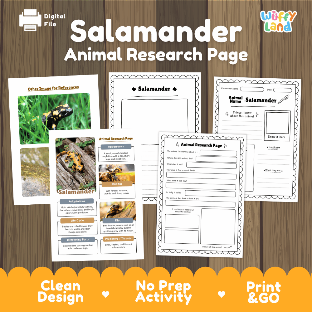 Salamander Animal Research Page Worksheets