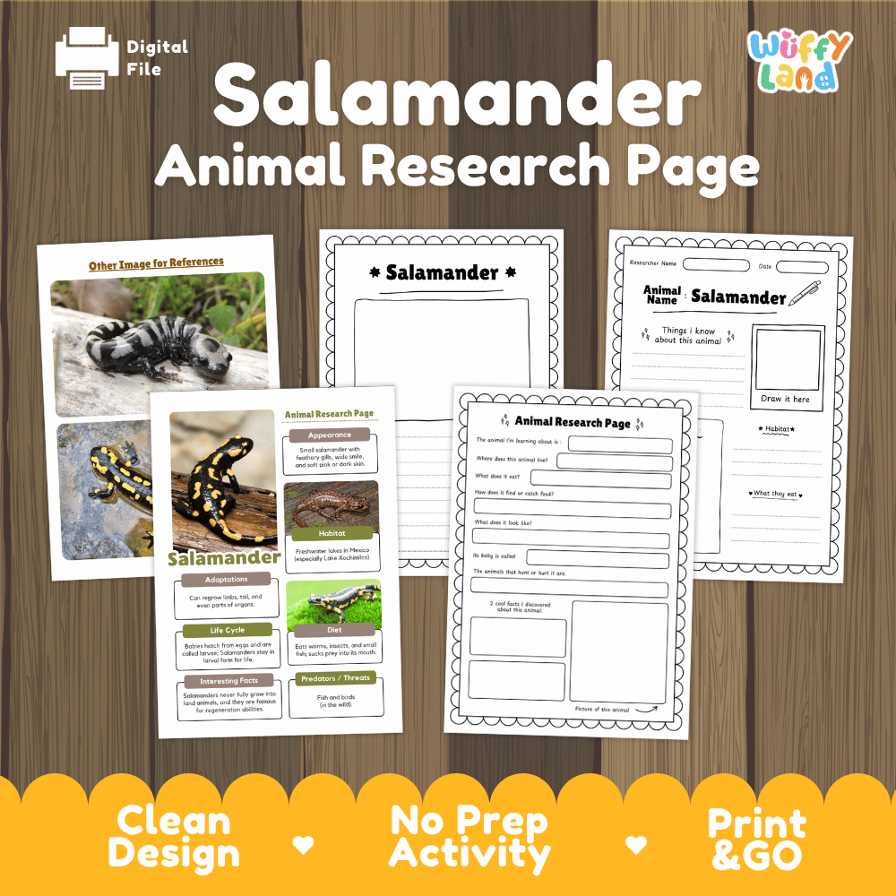 Salamander Animal Research Page Worksheets