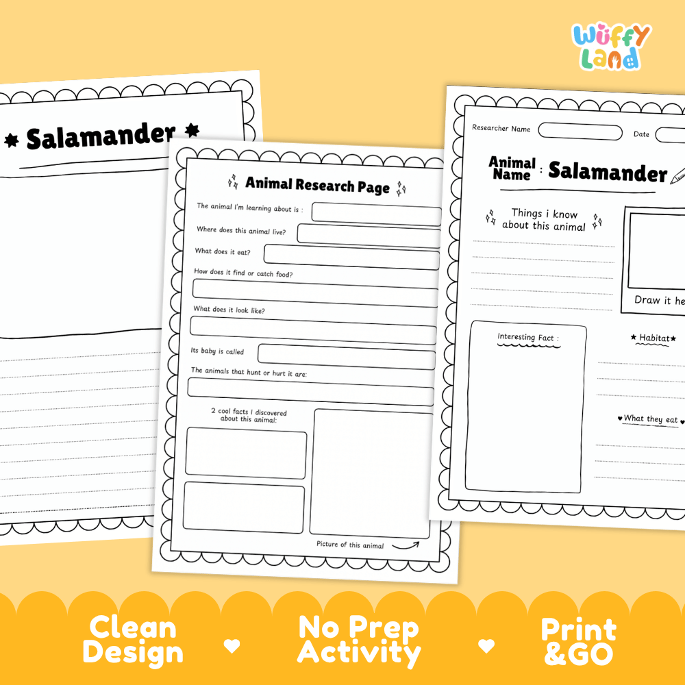 Salamander Animal Research Page Worksheets