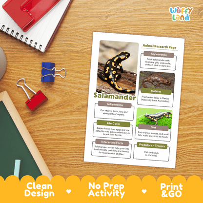 Salamander Animal Research Page Worksheets