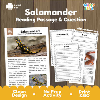 Digital reading activity sheet set about salamanders, shown on a wood background with the title 'Salamander Reading Passage & Question.' The image includes a sample text page, worksheet pages, and promotional text such as 'with answer key,' 'Clean Design,' 'No Prep Activity,' and 'Print & GO.