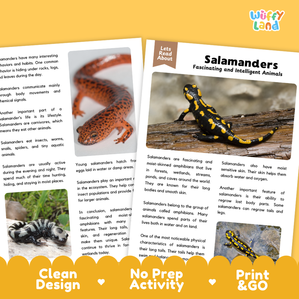 A set of educational reading activity cards about salamanders, featuring a clean white card design with colorful text and illustrations, displayed on a white background with a yellow decorative footer banner.