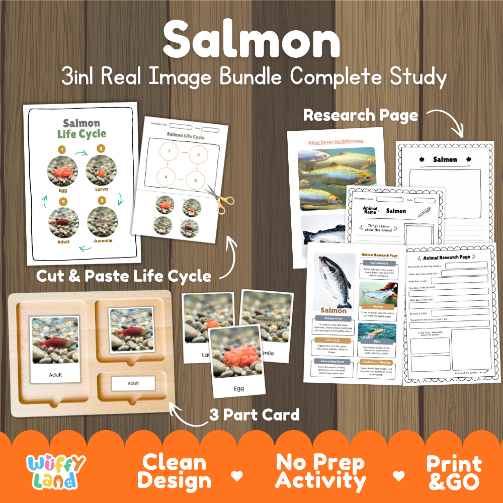 Salmon 3-in-1 real image bundle complete study cover showing cut and paste life cycle, 3 part cards, and research pages