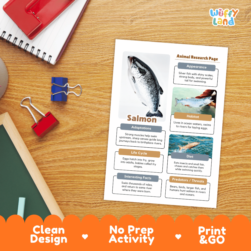 Salmon Animal Research Pages and Worksheets