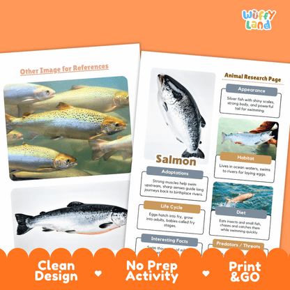 Salmon Animal Research Pages and Worksheets