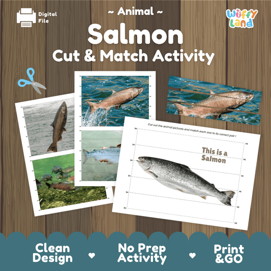 Salmon Cut and Match Activity Worksheets | Fish Animal Puzzle Printables