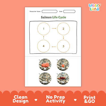Salmon Life Cycle Poster and Cut and Paste Activity Worksheet