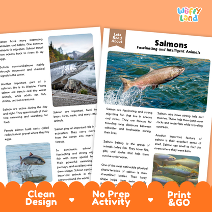 An educational activity sheet titled 'Salmons Fascinating and Intelligent Animals' from 'Wiffly Land', featuring text, two color photographs of salmon, and an orange banner at the bottom that reads 'Clean Design', 'No Prep Activity', and 'Print & Go'.