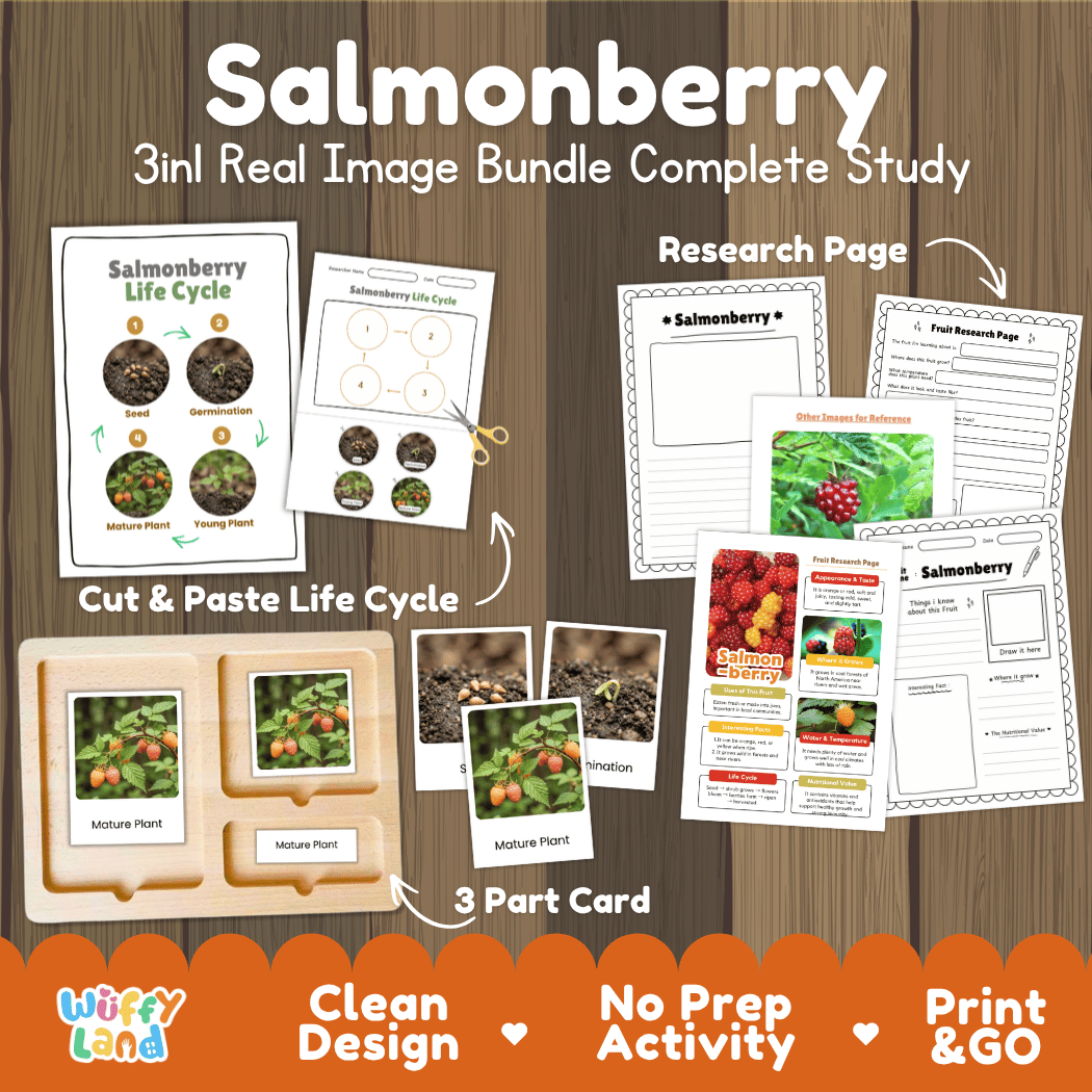 Complete Salmonberry 3-in-1 real image study bundle featuring cut and paste worksheets, Montessori 3-part cards, and research pages 🍓🌱