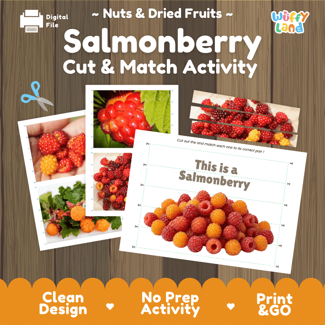 Salmonberry Cut and Match Activity Worksheets | Nuts and Dried Fruits Puzzle Printables