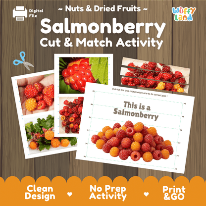 Salmonberry Cut and Match Activity Worksheets | Nuts and Dried Fruits Puzzle Printables