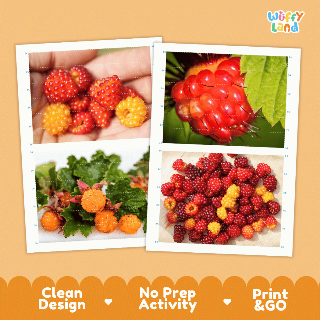 Salmonberry Cut and Match Activity Worksheets | Nuts and Dried Fruits Puzzle Printables