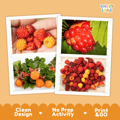 Salmonberry Cut and Match Activity Worksheets | Nuts and Dried Fruits Puzzle Printables