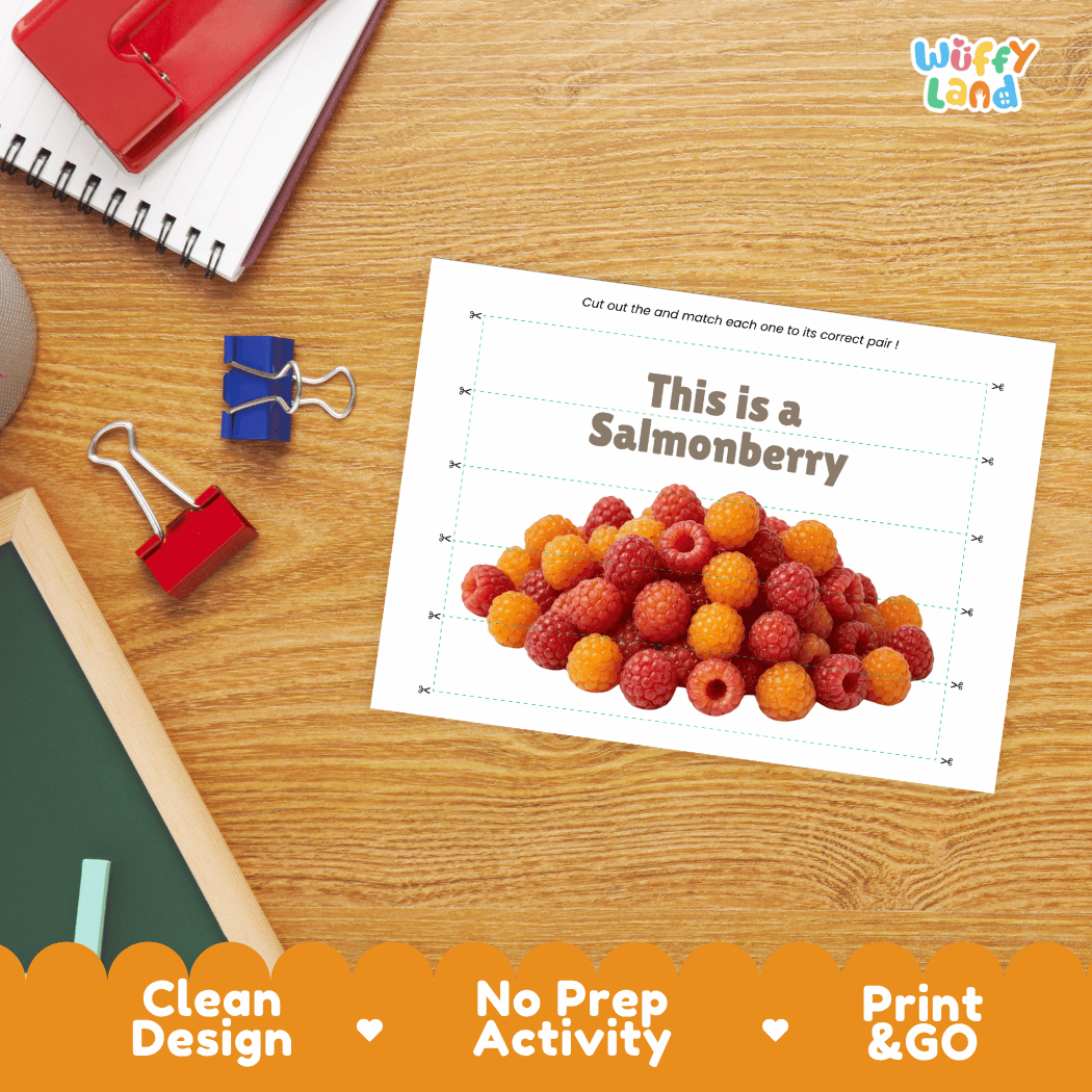 Salmonberry Cut and Match Activity Worksheets | Nuts and Dried Fruits Puzzle Printables
