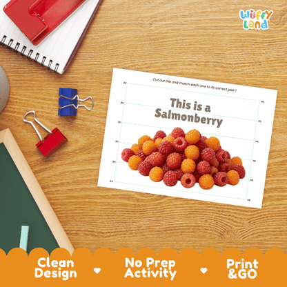 Salmonberry Cut and Match Activity Worksheets | Nuts and Dried Fruits Puzzle Printables