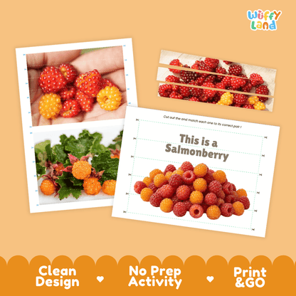 Salmonberry Cut and Match Activity Worksheets | Nuts and Dried Fruits Puzzle Printables