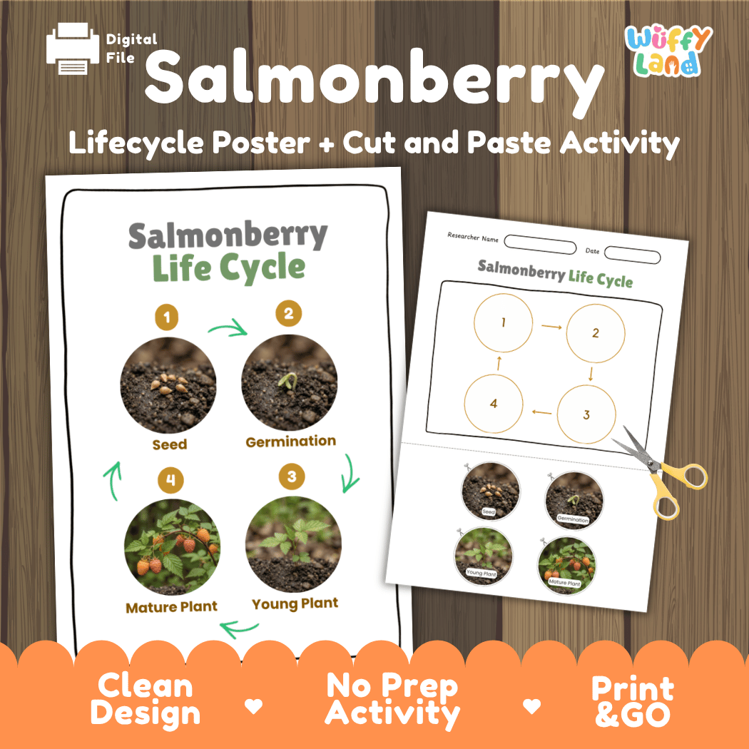 Salmonberry Life Cycle Poster and Cut and Paste Worksheet Activity