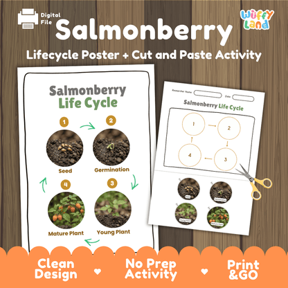 Salmonberry Life Cycle Poster and Cut and Paste Worksheet Activity