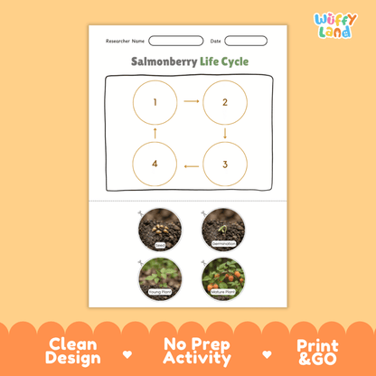 Salmonberry Life Cycle Poster and Cut and Paste Worksheet Activity