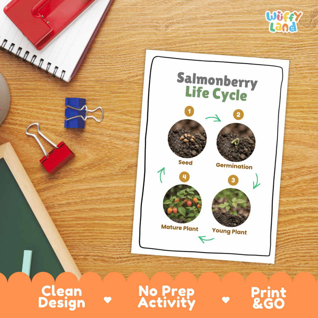 Salmonberry Life Cycle Poster and Cut and Paste Worksheet Activity