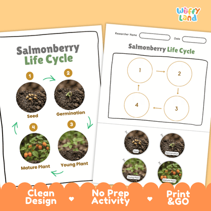 Salmonberry Life Cycle Poster and Cut and Paste Worksheet Activity