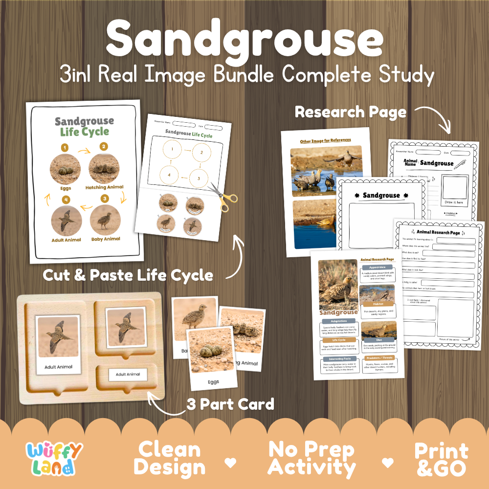 Sandgrouse 3-in-1 real image bundle complete study cover showing cut and paste life cycle, 3 part cards, and research pages