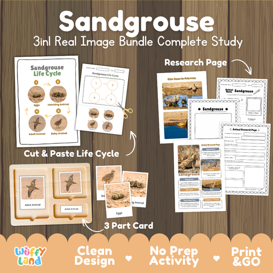 Sandgrouse 3-in-1 real image bundle complete study cover showing cut and paste life cycle, 3 part cards, and research pages