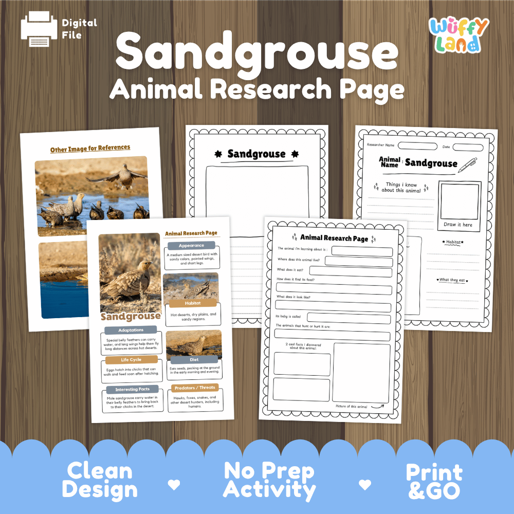 Sandgrouse Animal Research Worksheets and Informational Fact Sheets