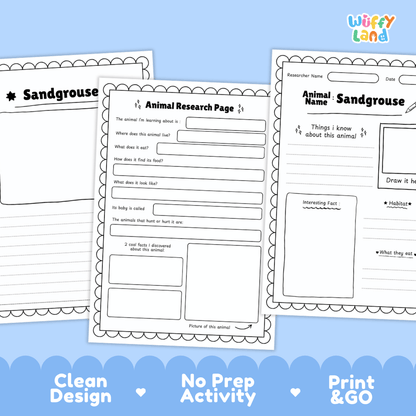 Sandgrouse Animal Research Worksheets and Informational Fact Sheets