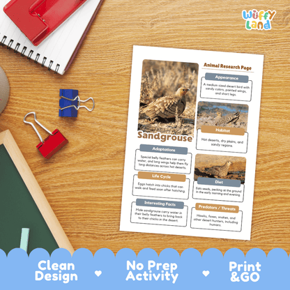 Sandgrouse Animal Research Worksheets and Informational Fact Sheets