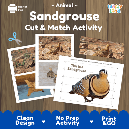 Sandgrouse Cut and Match Activity Worksheets | Animal Puzzle Printables