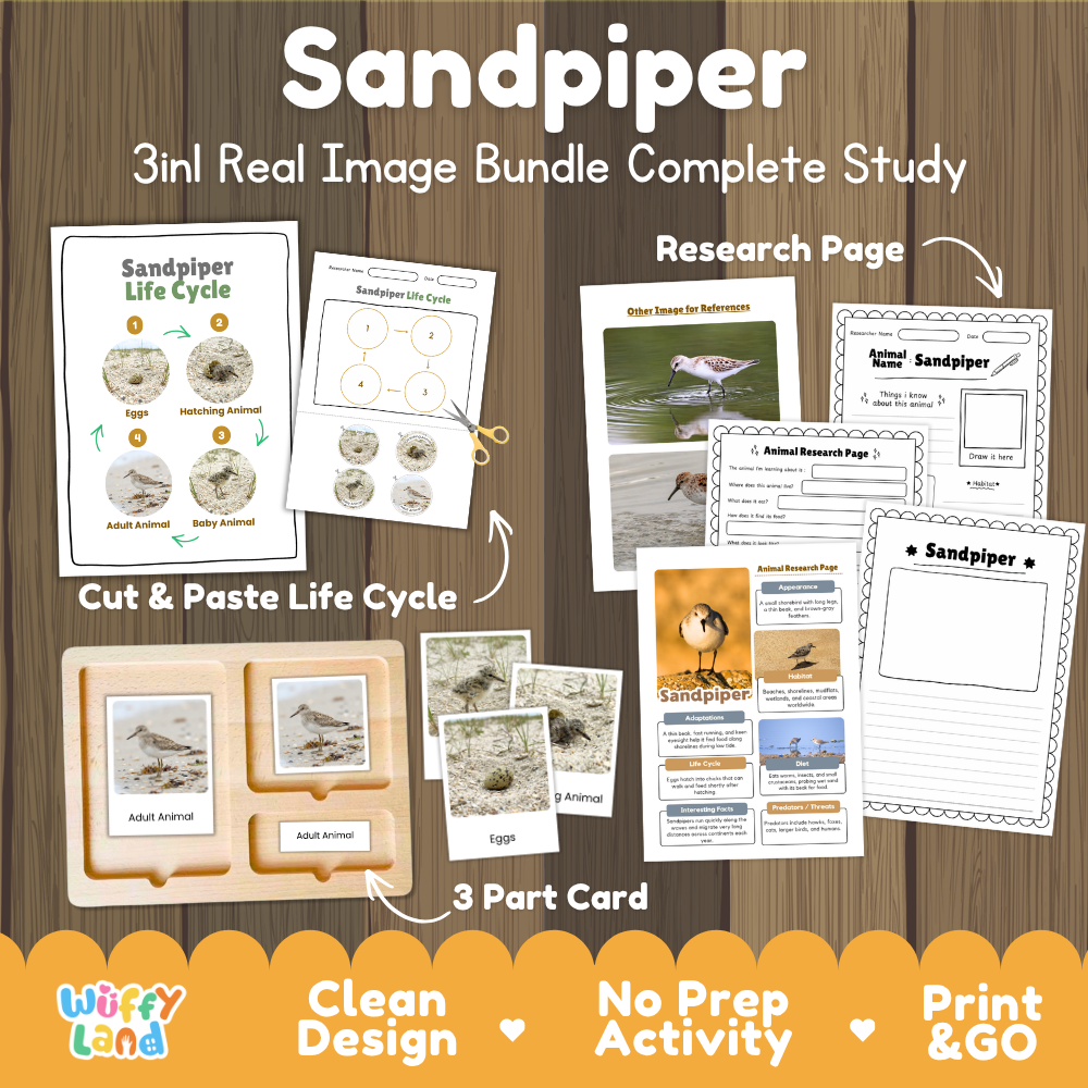 Sandpiper 3-in-1 real image bundle complete study cover showing cut and paste life cycle, 3 part cards, and research pages