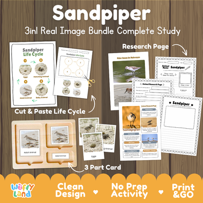 Sandpiper 3-in-1 real image bundle complete study cover showing cut and paste life cycle, 3 part cards, and research pages