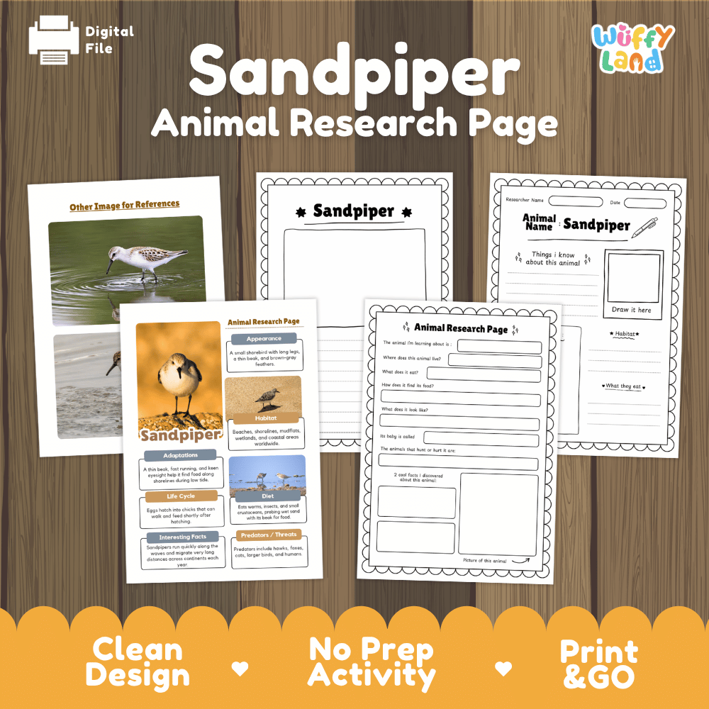 Sandpiper Animal Research Worksheets and Informational Fact Sheets