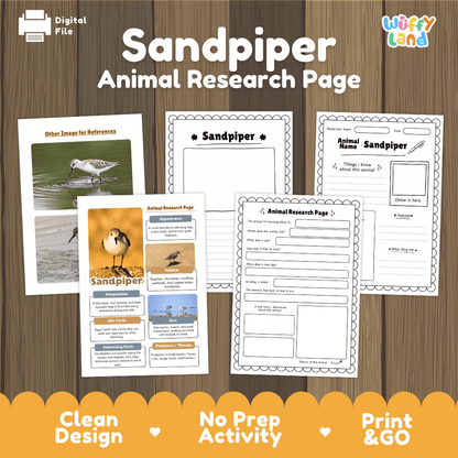 Sandpiper Animal Research Worksheets and Informational Fact Sheets