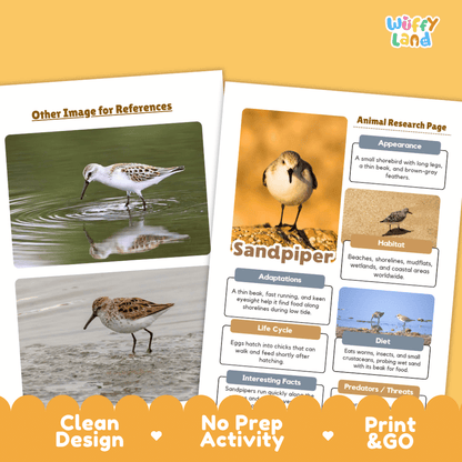 Sandpiper Animal Research Worksheets and Informational Fact Sheets