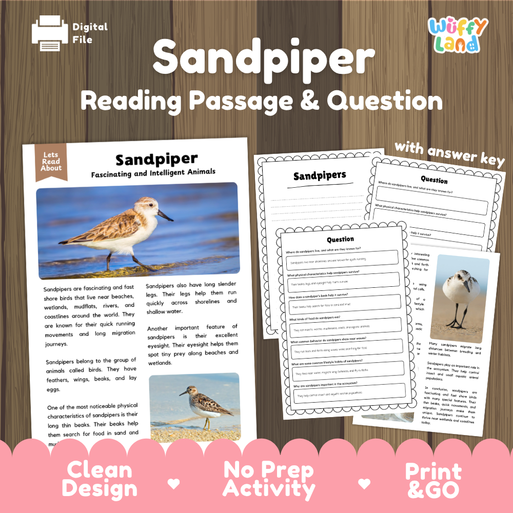 Digital reading activity product titled 'Sandpiper Reading Passage & Question' on a wood background, showing a sandpiper passage page, worksheet pages, and an answer key. Brand logo 'Wiffly Land' appears in the top right, and pink banners at the bottom read 'Clean Design', 'No Prep Activity', and 'Print & GO'.