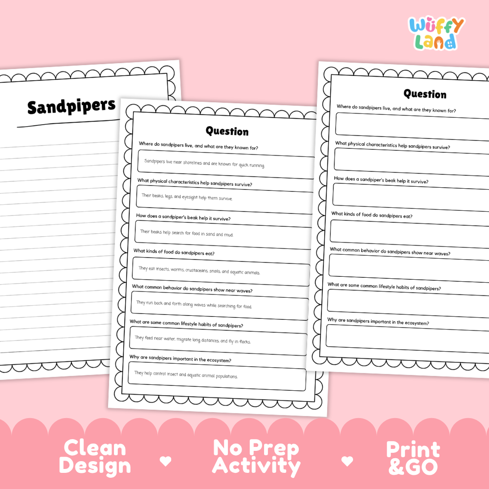 Three educational worksheet pages about sandpipers displayed on a pink background with promotional text reading 'Clean Design', 'No Prep Activity', and 'Print & GO'. The top right shows the brand name 'Wiffi Land'.