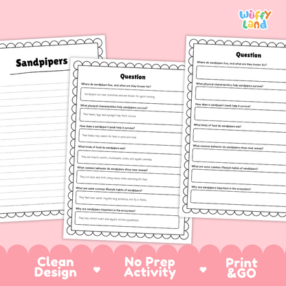 Three educational worksheet pages about sandpipers displayed on a pink background with promotional text reading 'Clean Design', 'No Prep Activity', and 'Print & GO'. The top right shows the brand name 'Wiffi Land'.