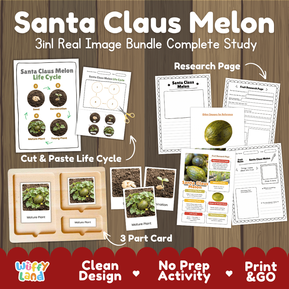 Santa Claus melon life cycle 3in1 real image bundle complete study overview featuring cut and paste worksheets, Montessori 3-part cards, and research pages from Wuffy Land 🍈🌱