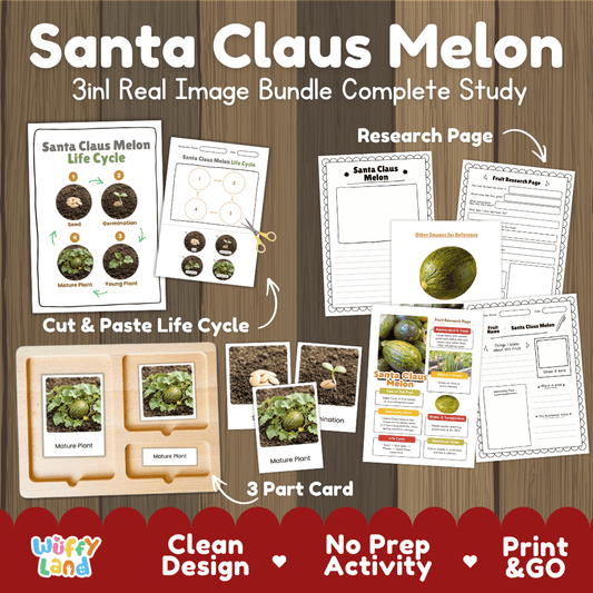 Santa Claus melon life cycle 3in1 real image bundle complete study overview featuring cut and paste worksheets, Montessori 3-part cards, and research pages from Wuffy Land 🍈🌱