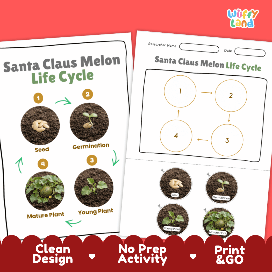 Print and go digital PDF plant science activity featuring clean design layout, researcher name line, and zero prep classroom format