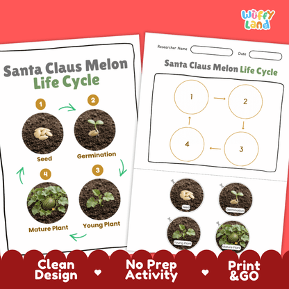 Print and go digital PDF plant science activity featuring clean design layout, researcher name line, and zero prep classroom format