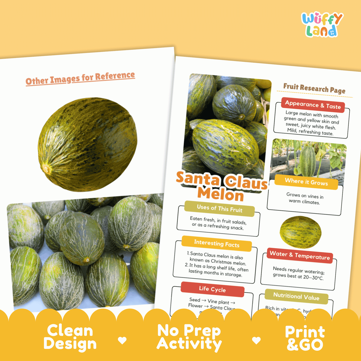 Santa Claus Melon Research Activity Worksheet Science Christmas Healthy Eating