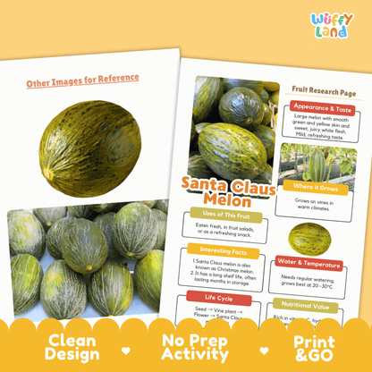 Santa Claus Melon Research Activity Worksheet Science Christmas Healthy Eating