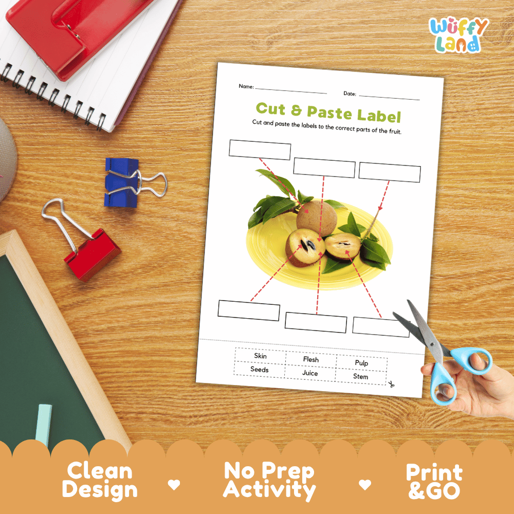 Differentiated sapodilla fruit labeling worksheets featuring write-in callout boxes and vocabulary word bank