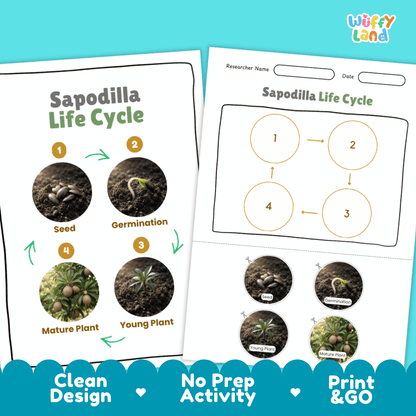 Print and go digital PDF plant science activity featuring clean design layout, researcher name line, and zero prep classroom format